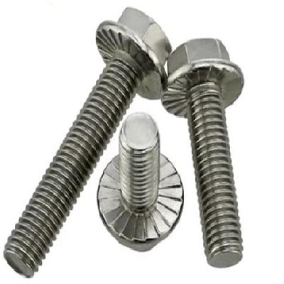 Stainless Steel Flange Bolt