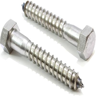 Stainless Steel Lag Screw
