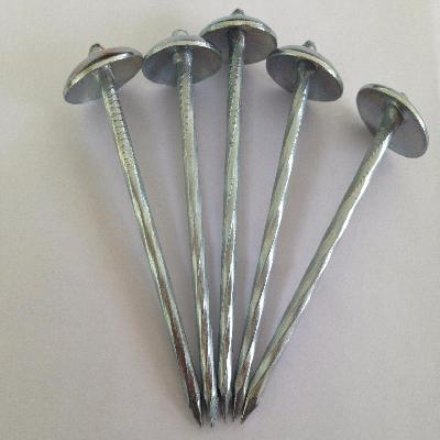 Gi Nail Clamps