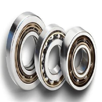 Large Size Bearings
