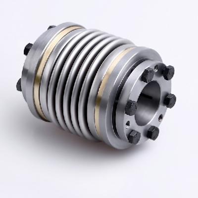 SS Servo Bellow Coupling