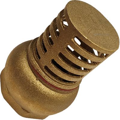 Foot Valve
