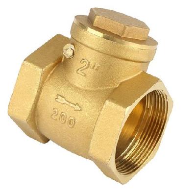 Non Returning Valve