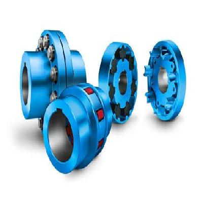 SG Fusion Flender Flexible Coupling