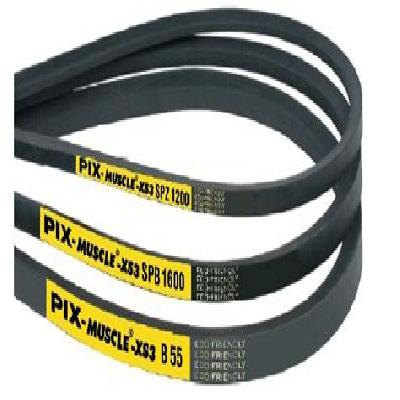 PIX-Muscle-XS3 High Power, Maintenance Free Belts