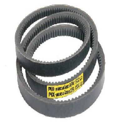 PIX Muscle XR3 High Power, Maintenance-free Belts