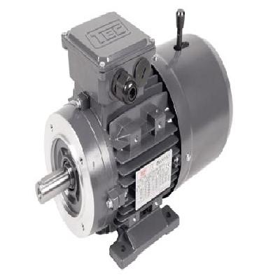 3 Phase Induction Brake Motor