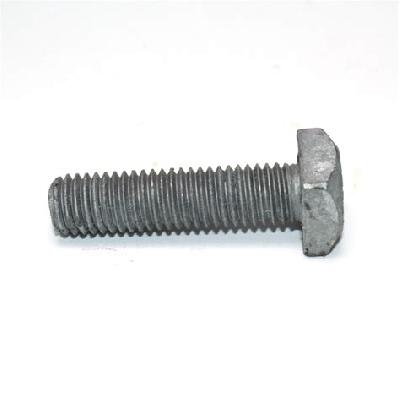 Square Head Bolt