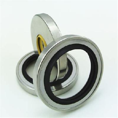 Metal Oil Seal