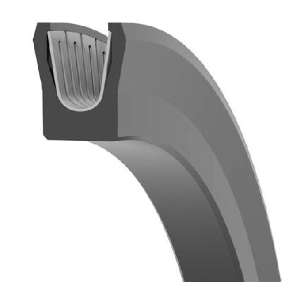 SPRING ENERGIZED PTFE SEAL