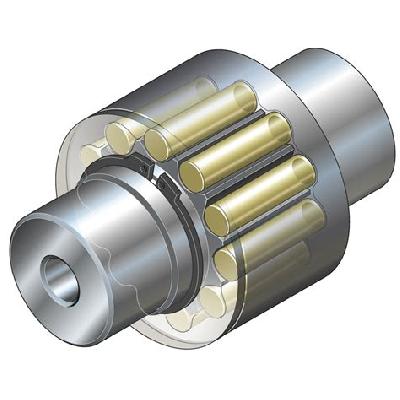 Tschan-S  Sv Spider Coupling Element