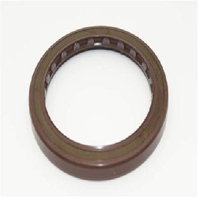 Viton Oil Seal