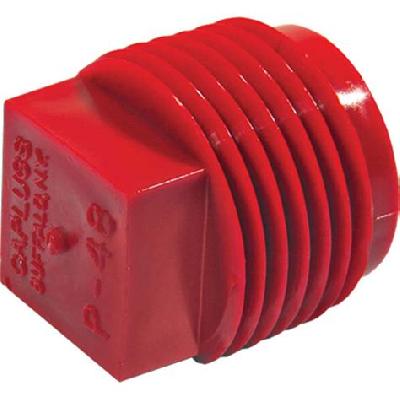 Npt Plug