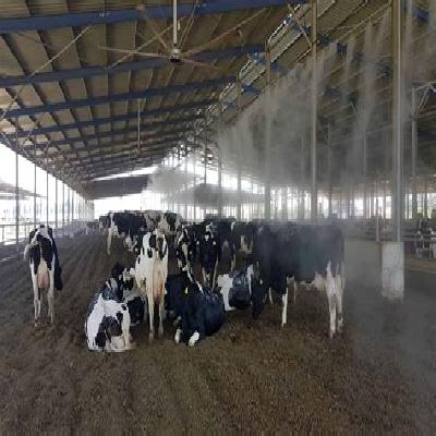 Cow Shade Cooling Fogger Misting System