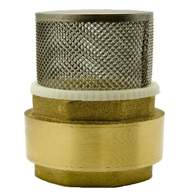 Bore Foot Valve