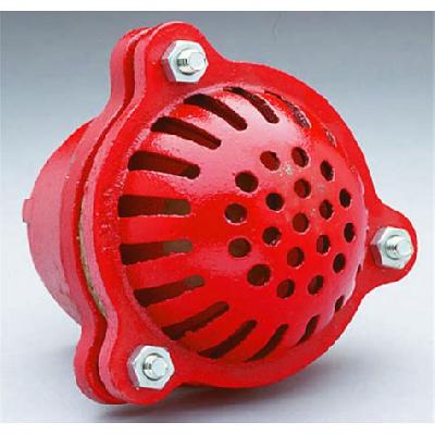 Cast Iron Foot Valve