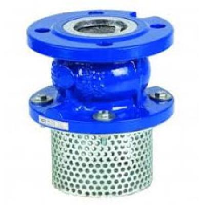 Flanged End Foot Valve