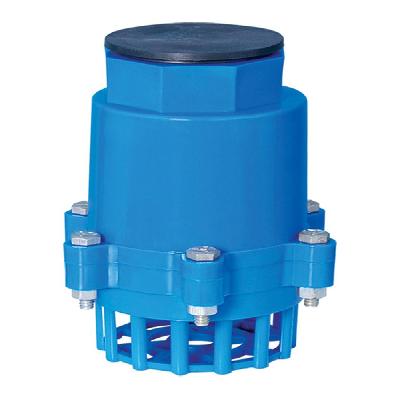 Nut Foot Valve
