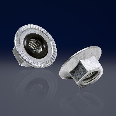 Hex Flange Nut