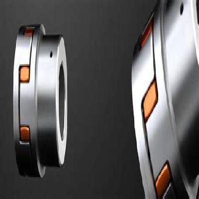 Rotex CF Flange Coupling