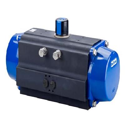 Pneumatic Actuator