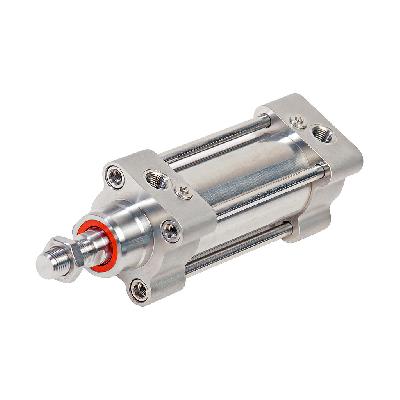 Pneumatic Cylinder