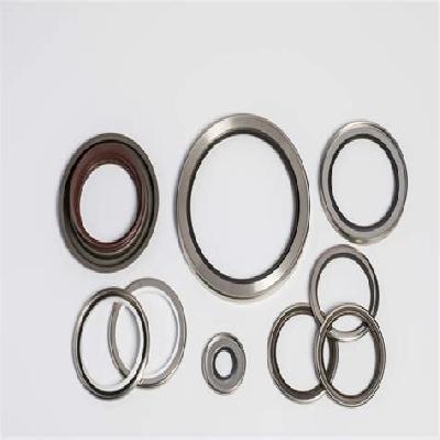Shaft Seal