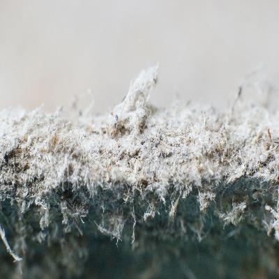 Asbestos Threads
