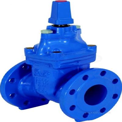 C I  Steel Sluice Valves