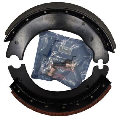 Steering Worm