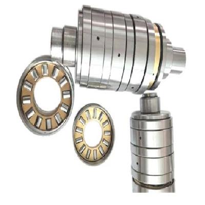 Tandem Roller Bearing