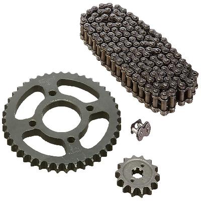 Discover  100 T Sprocket 43t