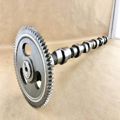 Gear Cam Assembly
