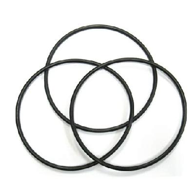Filter Leaf O Ring