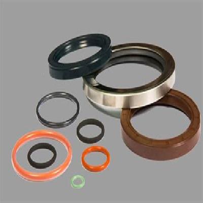 Oil Seal O Ring