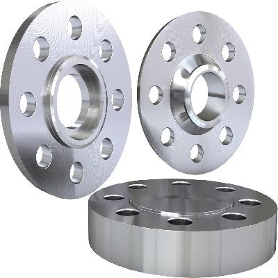 Stainless Steel Flanges