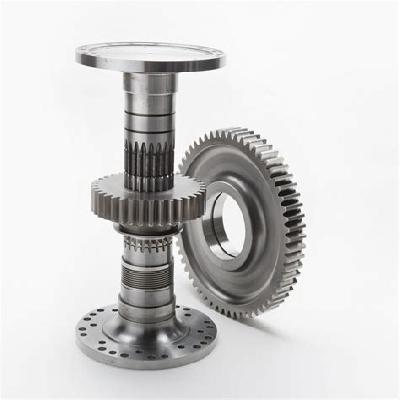Oil Pump Gear