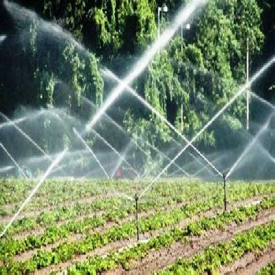Agriculture Micro Sprinkler