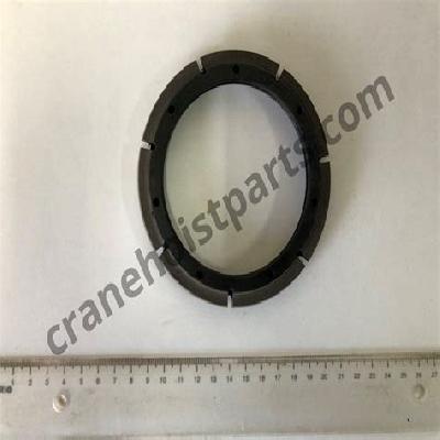 Brake Ring With Brake Lining AC 338