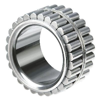 Needle Roller Bearing - 21 X 28