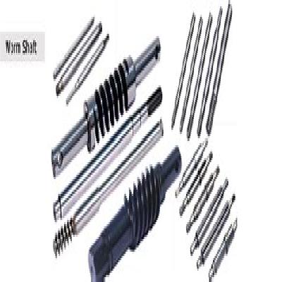 SS Worm Shafts