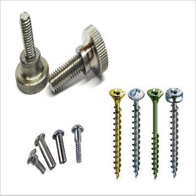 Special Screw