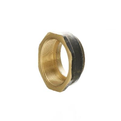 Brass Female Bush
