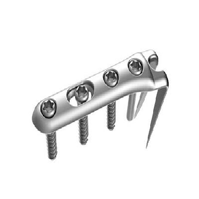 Hook Plates