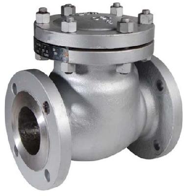 Check Valve