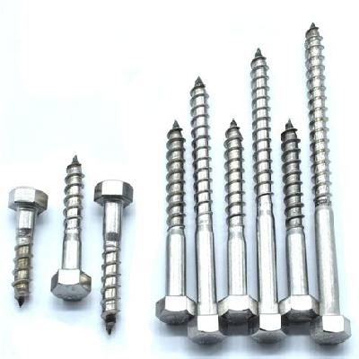Hex Coach Screw