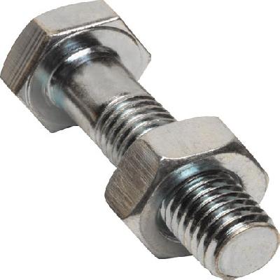 Stainless Steel Bolt