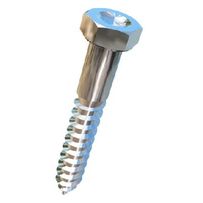 Titanium Lag Screw