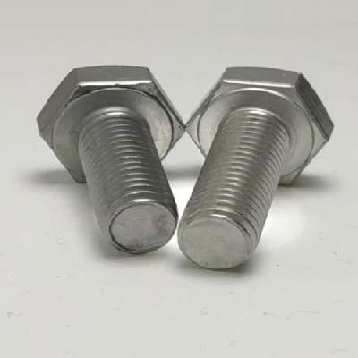SS310 Hex Bolt