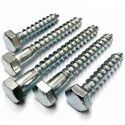 Coach Screw
